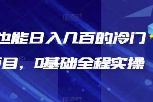 （6630期）新手也能日入几百的冷门DIY项目，0基础全程实操【揭秘】