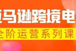 （5967期）亚马逊跨境-电商全阶运营系列课程 每天10分钟，让你快速成为亚马逊运营高手