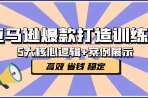 （5107期）亚马逊爆款打造训练营：5大核心逻辑+案例展示 打造爆款链接 高效 省钱 稳定