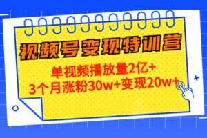 （4455期）20天视频号变现特训营：单视频播放量2亿+3个月涨粉30w+变现20w+