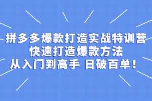 （2237期）拼多多爆款打造实战特训营：快速打造爆款方法，从入门到高手 日破百单