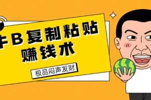 （1681期）牛B复制粘贴赚钱术！牛逼持久收入极品闷声发财项目（附软件+完整资料）