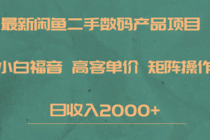 最新闲鱼二手数码赛道，小白福音，高客单价，矩阵操作，日收入2000+