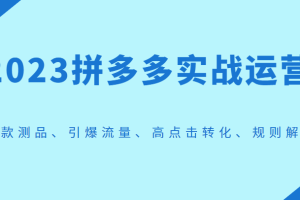 2023拼多多实战运营，选款测品、引爆流量、高点击转化、规则解析