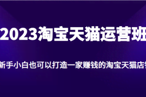 2023淘宝天猫运营班，新手小白也可以打造一家赚钱的淘宝天猫店铺