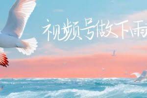 视频号做下雨视频，一个账号一周涨粉10W+，日入1000+附保姆级教程