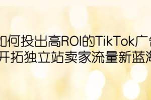 如何投出高ROI·TikTok广告，开拓独立站卖家流量新蓝海