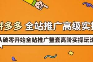 拼多多全站推广高级实操：从破零开始全站推广整套高阶实操玩法