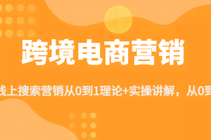跨境电商营销:线上搜索营销从0到1理论+实操讲解，从0到1