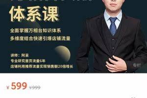 万相台实战体系课 帮您全面掌握万相台知识体系 多维度结合快速引爆店铺流量