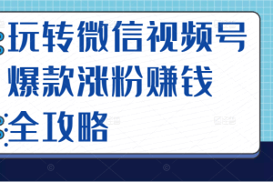 玩转微信视频号爆款涨粉赚钱全攻略，让你快速抓住流量风口，收获红利财富