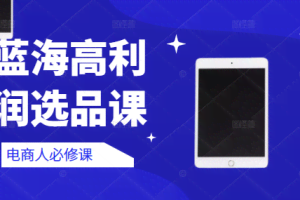 蓝海高利润选品课：你只要能选好一个品，就意味着一年轻松几百万的利润