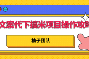 文案代下搞米项目操作方案，只要肯吃苦新手也能日入300+