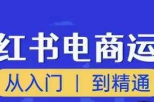 顽石小红书电商高阶运营课程，从入门到精通，玩法流程持续更新