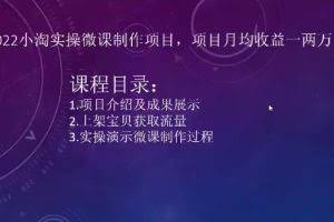 2022小淘实操微课制作项目，项目月均收益一两万