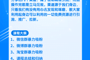 柚子团队内部课程：几个简单粗暴，立即操作立即见效的精准引流玩法