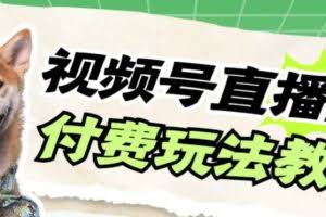 视频号美女付费无人直播，轻松日入500+【详细玩法教程】
