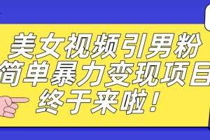 价值3980的男粉暴力引流变现项目，一部手机简单操作，新手小白轻松上手，每日收益500+【揭秘】