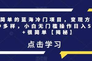 超简单的蓝海冷门项目，变现方式多种多样，小白无门槛操作日入500+很简单【揭秘】