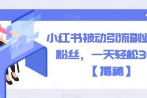 小红书被动引流副业兼职粉丝，一天轻松30粉【揭秘】