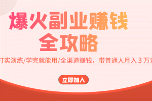 爆火副业赚钱全攻略：实打实演练/学完就能用/全渠道赚钱，带普通人月入３万元
