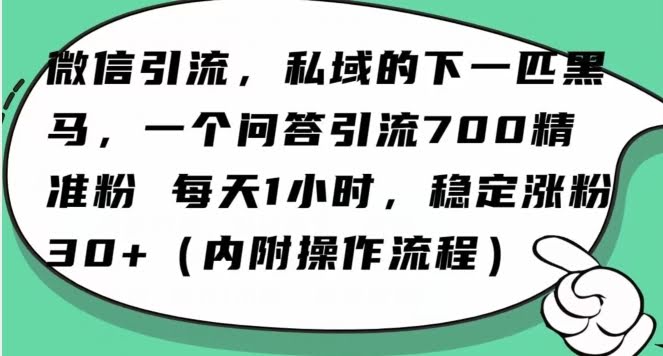 怎么搞精准创业粉?微信新赛道,每天一小时,利用Ai一个问答日引100精准粉