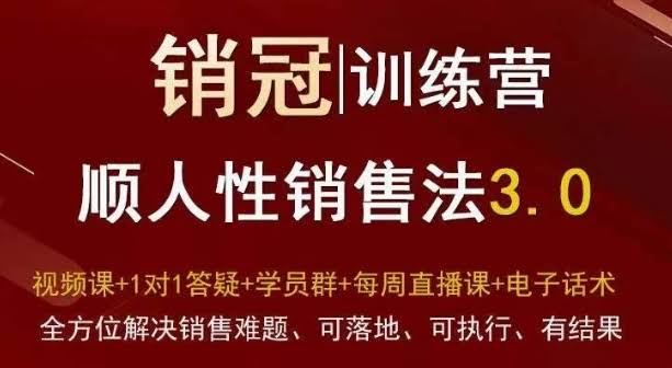 爆款!销冠训练营3.0之顺人性销售法,全方位解决销售难题、可落地、可执行、有结果
