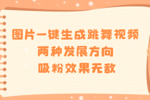 （8552期）图片一键生成跳舞视频，两种发展方向，吸粉效果无敌，