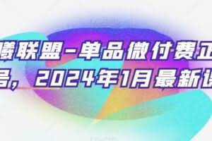 臻曦联盟-单品微付费正价起号，2024年1月最新课程