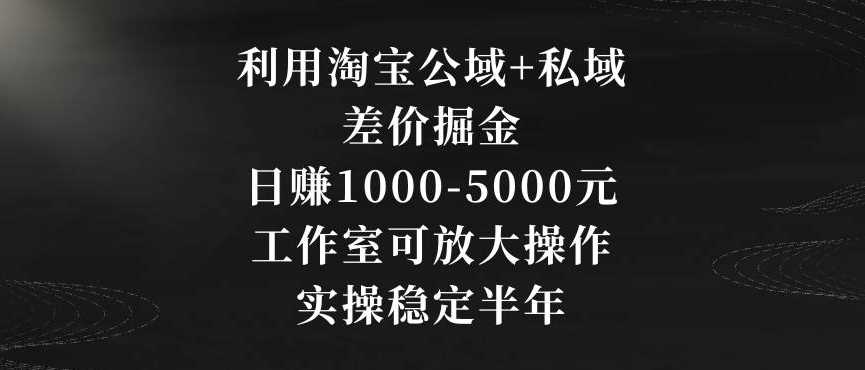 利用淘宝公域+私域差价掘金,日赚1000-5000元,工作室可放大操作,实操稳定半年【揭秘】
