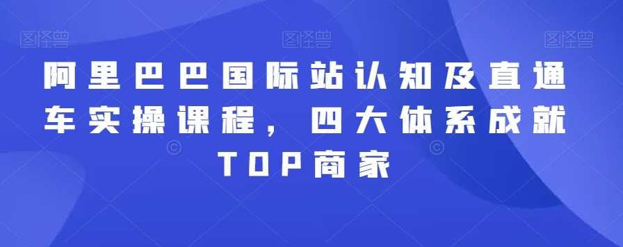 阿里巴巴国际站认知及直通车实操课程,四大体系成就TOP商家