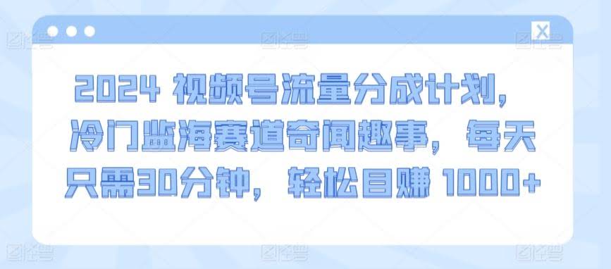 2024视频号流量分成计划,冷门监海赛道奇闻趣事,每天只需30分钟,轻松目赚 1000+【揭秘】