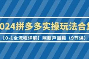 （9559期）2024拼多多实操玩法合集【0-1全流程详解】照葫芦画瓢（9节课）