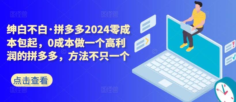 拼多多2024零成本包起,0成本做一个高利润的拼多多,方法不只一个