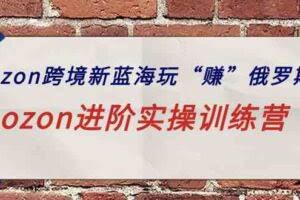 （9800期）ozon跨境新蓝海玩“赚”俄罗斯，ozon进阶实操训练营
