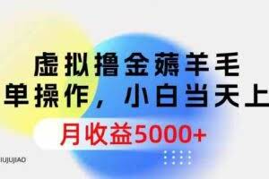 （9864期）虚拟撸金薅羊毛，简单操作，小白当天上手，月收益5000+