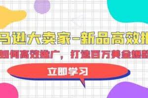 （9945期）亚马逊 大卖家-新品高效推广，分享如何高效推广，打造百万美金爆款单品