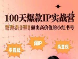 小红书100天爆款IP实战营,带你从0到1做出高价值的小红书号