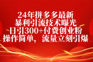 （10559期）24年拼多多最新暴利引流技术曝光，日引300+付费创业粉，操作简单，流量…