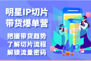 明星IP切片带货爆单营-把握带货趋势，了解切片流程，解锁流量密码（69节）