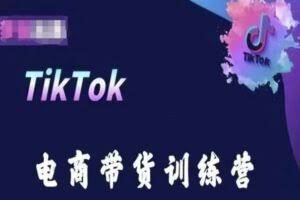 TikTok电商带货训练营，跟随时代潮流，跨境掘金