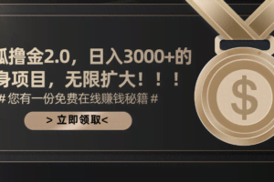 （11196期）搜狐撸金2.0日入3000+，可无限扩大的翻身项目