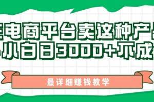 （11206期）最新在电商平台发布这种产品，新手小白日入3000+不成问题，最详细赚钱教学
