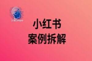小红书案例拆解，深度解读小红书40万粉