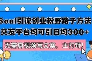 （12281期）Soul引流创业粉野路子方法，交友平台均可引日均300+，无需剪视频写文案…