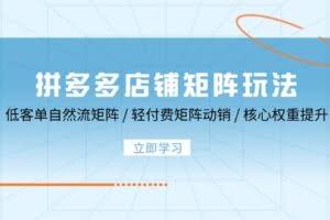（12720期）拼多多店铺矩阵玩法：低客单自然流矩阵 / 轻付费矩阵 动销 / 核心权重提升