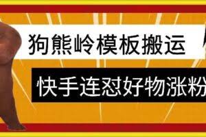 狗熊岭快手连怼技术，好物，涨粉都可以连怼