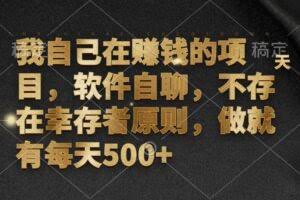 （12956期）我自己在赚钱的项目，软件自聊，不存在幸存者原则，做就有每天500+