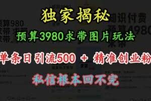预算3980求带 图片玩法，单条日引流500+精准创业粉，私信根本回不完