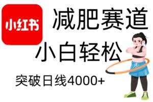 小红书减肥赛道，简单零成本，无需剪辑，不用动脑，小白轻松日利润4000+
